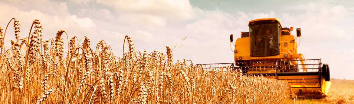 Margin Protection Hudson Crop