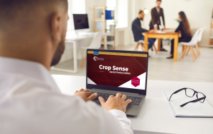 person on desktop with Crop Sense Special Products Edition on the screen